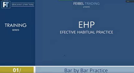 wyckoff feibel EHP Effective Habitual Practice中英字幕