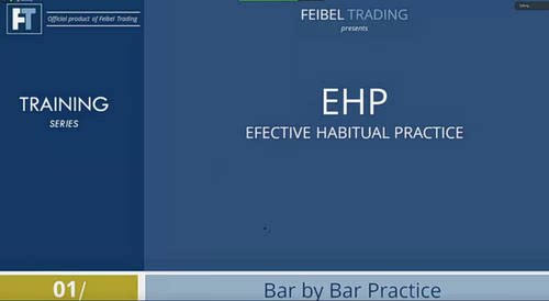 wyckoff feibel EHP Effective Habitual Practice 2020 中英字幕