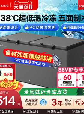 穗凌商用全冷冻卧式冷柜BD-580