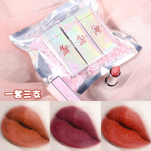 holdlive口红礼盒套装小众女平价学生款烂番茄不掉色显白冬季