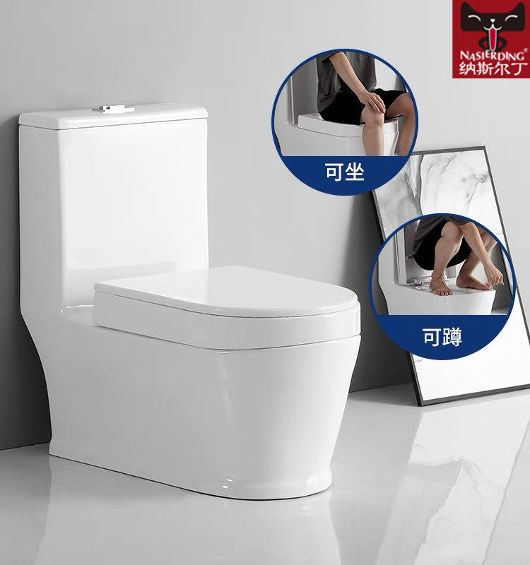 两用蹲可坐蹲坐纳斯尔丁虹吸式