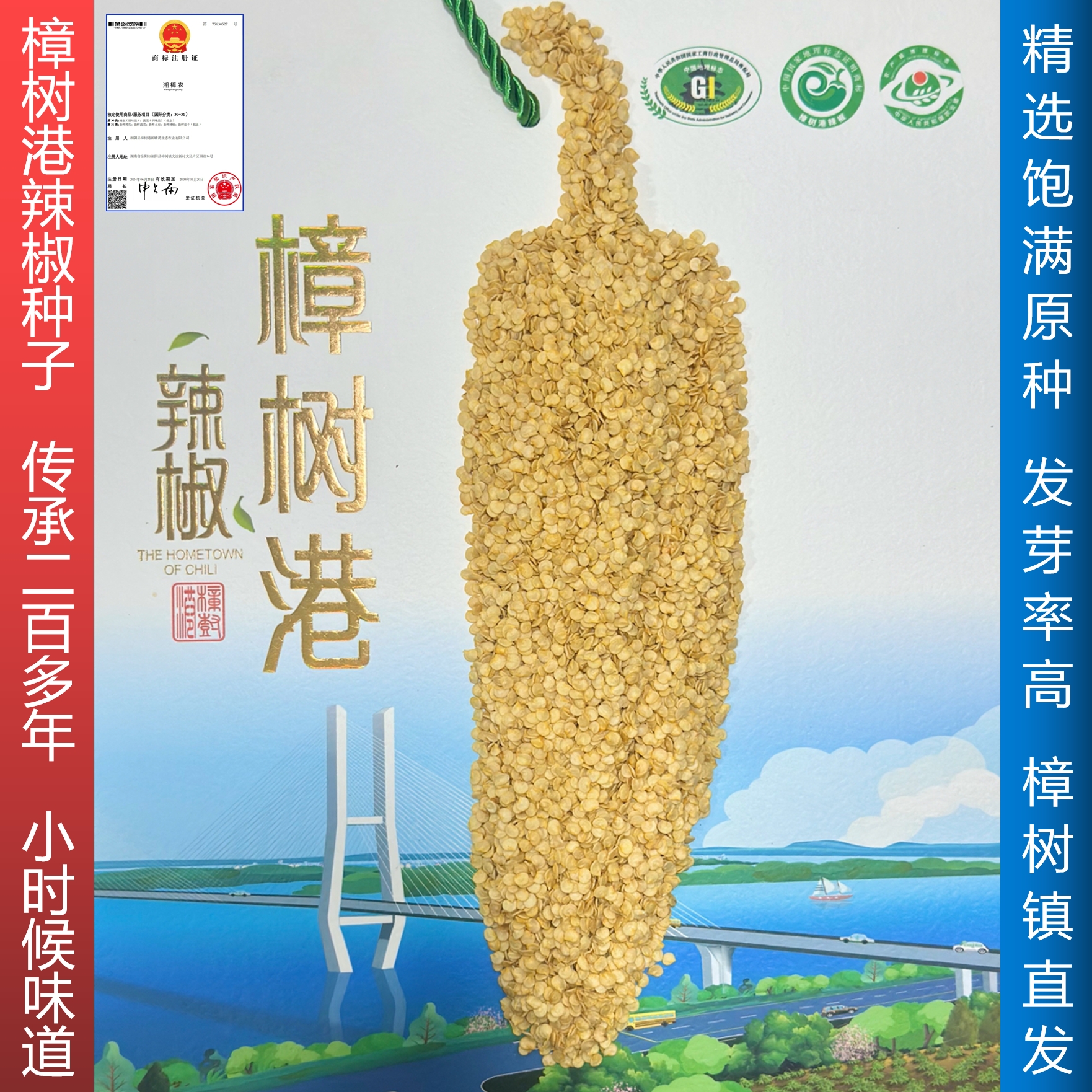 樟树港辣椒种子优质香辣辣椒种籽