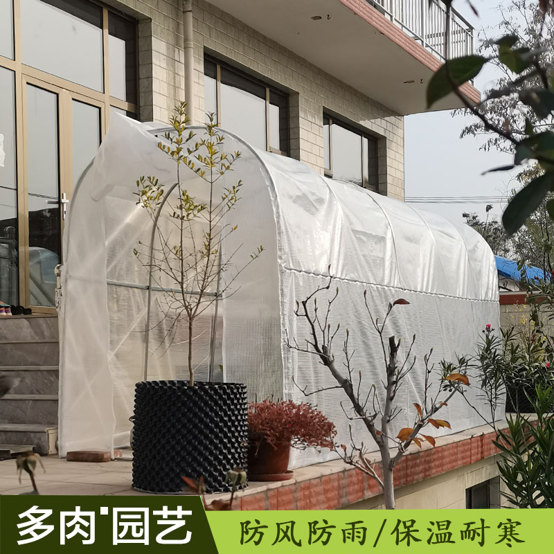 镀锌管大棚多肉三角梅防冻温室