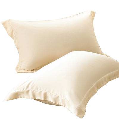 高级天丝枕头套夏季冰丝一对新款