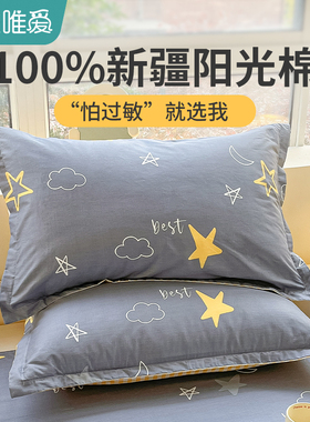 新疆全棉枕套一对装家用纯棉枕头套单个灰色枕头枕芯套48cmx74cm