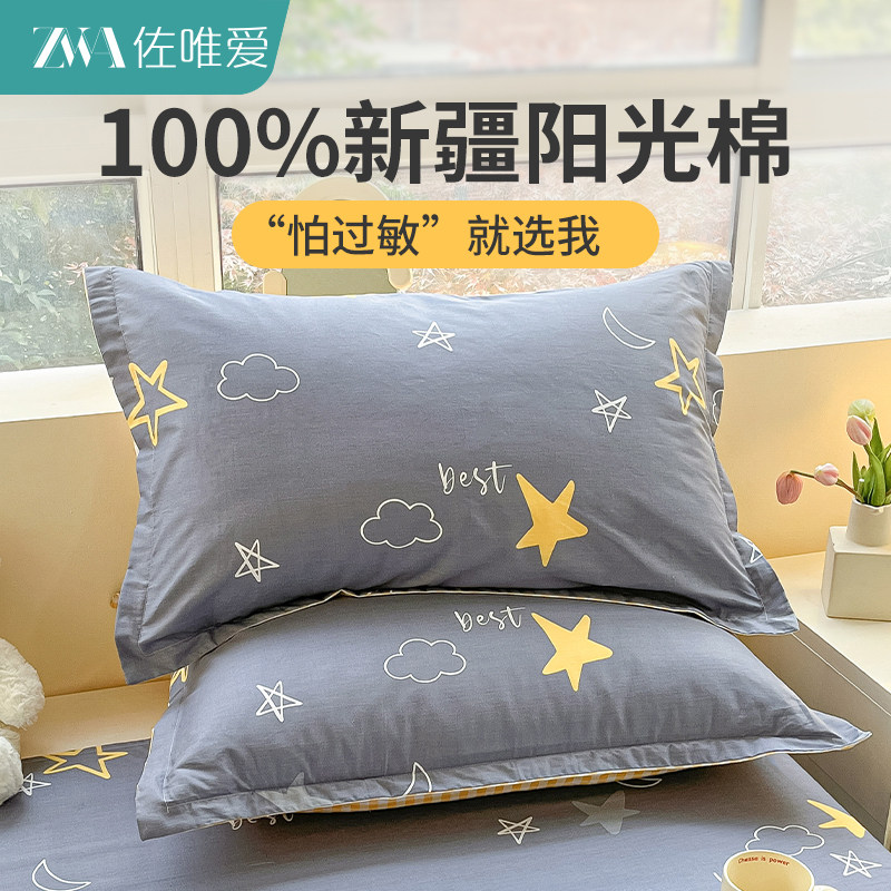 新疆全棉枕套一对装家用纯棉枕头套单个灰色枕头枕芯套48cmx74cm