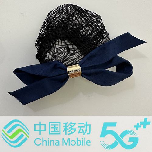 中国移动营业厅头花头饰发夹盘发网兜新款公司职员工作服发饰发卡