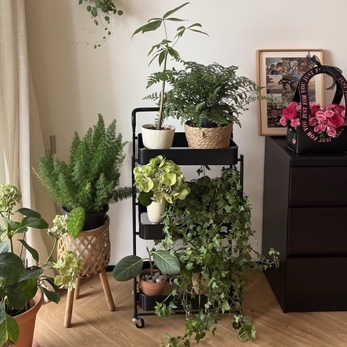 免安装【小推车花架】方便好用