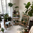 阳台客厅落地式 花架子 可折叠实木植物架阶梯飘窗多肉置物架落地式