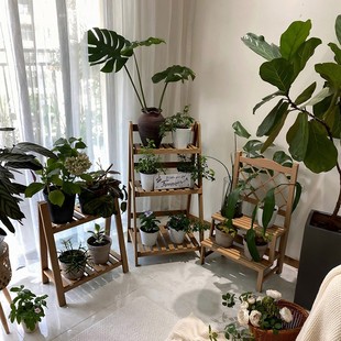 阳台客厅落地式 花架子 可折叠实木植物架阶梯飘窗多肉置物架落地式