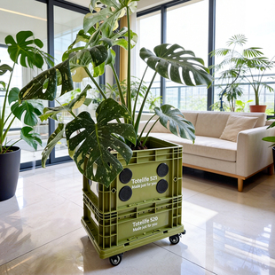 ins大容量可移动龟背竹周转箱花盆攀爬架网红水苔柱绿植花卉花盆