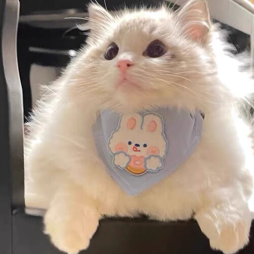 可乐家宠物围兜猫狗口水巾三角巾