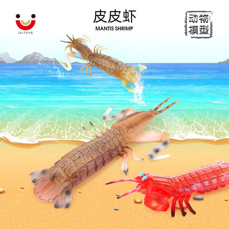 仿真实心海洋动物科教模型 皮皮虾虾蛄虾耙子瀨尿虾 儿童认知玩具