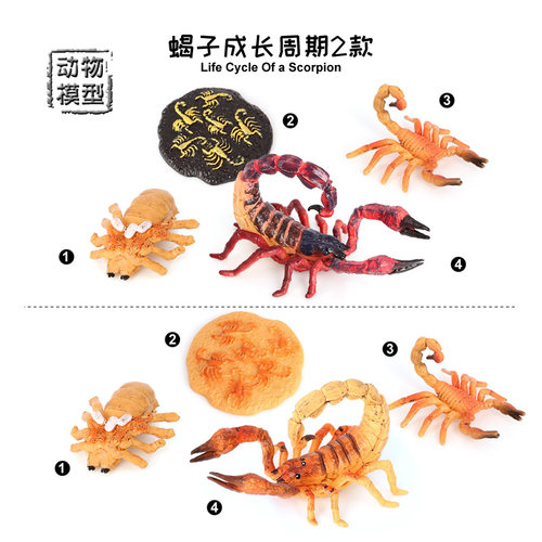 仿真动物成长阶段鹿角虫锹形虫蝉蜈蚣蜗牛蜜蜂蝎子响尾蛇昆虫模型
