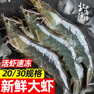 北海湾新鲜大虾冷冻特大冻虾基围虾海虾白虾渤海青虾海鲜整箱P发
