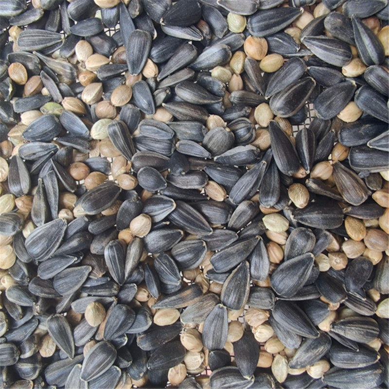 麻子油葵 新货中大混合鸟粮 黑瓜子中麻子混合鸽粮 鹦鹉鸟食,宠物/宠物食品及用品,鸟食,淘宝优惠券,粉丝福利购,淘宝优惠卷