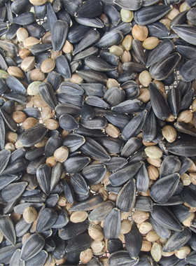 麻子油葵 新货中大混合鸟粮 黑瓜子中麻子混合鸽粮 鹦鹉鸟食