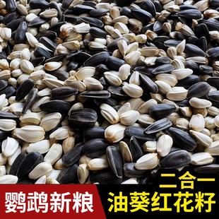 小黑瓜子红花籽二合一混合鸽粮鸽子鹦鹉鸟食鸟粮小瓜子黑珍珠油葵