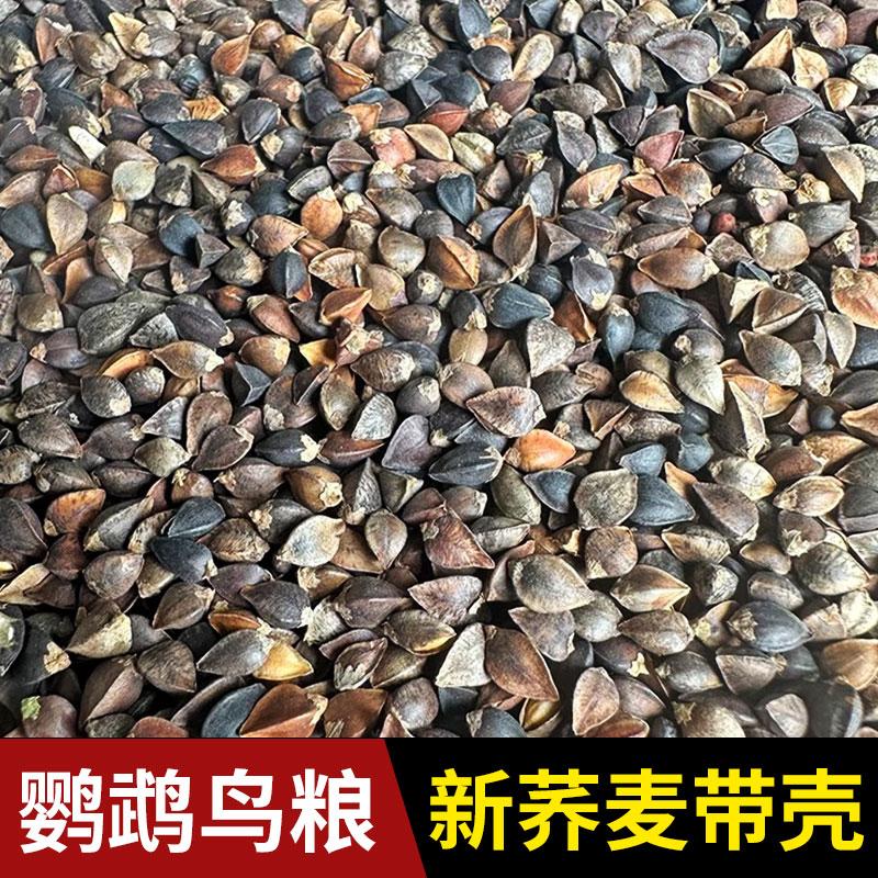 鹦鹉鸟食玄凤中大鹦鹉原荞麦