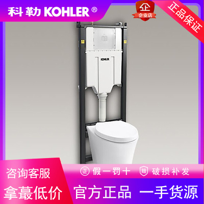 科勒挂墙式马桶K-29918T/20535/20534/25093/29919/29917/25092