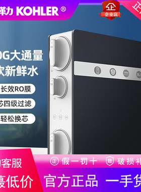 科勒厨房净饮机家用一体机台式饮水机反渗透过滤直饮净水机30843