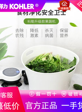 科勒洗菜机果蔬水果清洗机家用蔬菜消毒解毒全自动净化机K-22482T