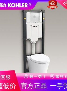 科勒壁挂式马桶维亚挂墙式座便器海德丽300气动水箱K-29918T-S-0