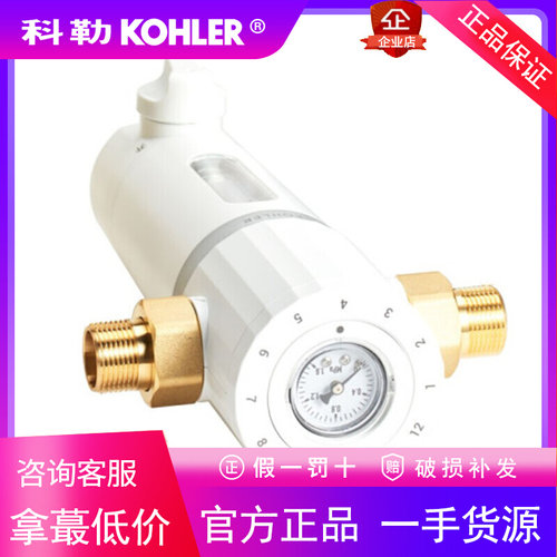 科勒前置过滤器全屋净水器自来水反冲洗检测水压家用过滤器28975T