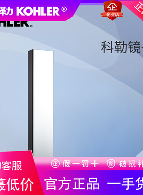 科勒穿衣镜壁挂全身镜挂墙现代收纳柜化妆柜首饰柜镜子23792T