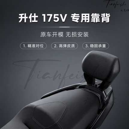 天飞仕适用升仕175V后靠背专用靠背摩托车改装腰靠尾翼改装配件