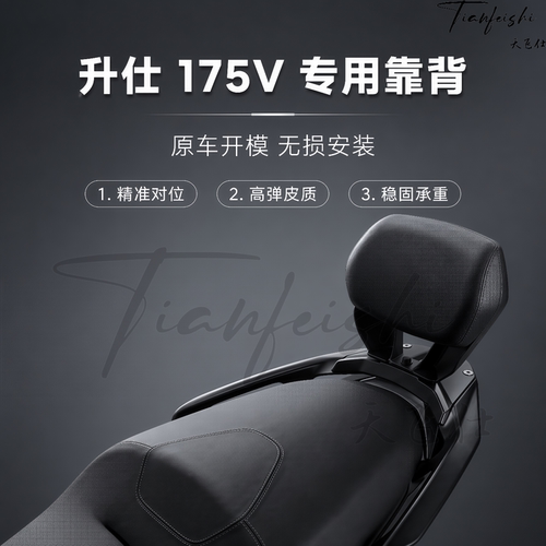 天飞仕适用升仕175V后靠背专用靠背摩托车改装腰靠尾翼改装配件