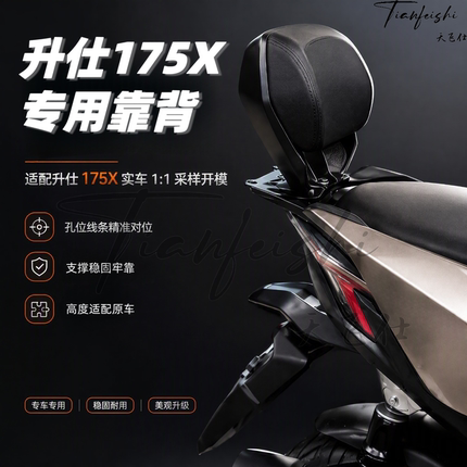 天飞仕适用升仕175X专用靠背铝合金改装后靠背175X后靠背腰靠配件
