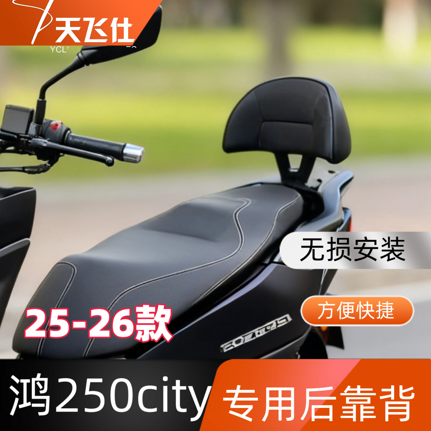 天飞仕适用于钱江鸿250city专用后靠背改装尾翼防水加厚腰靠