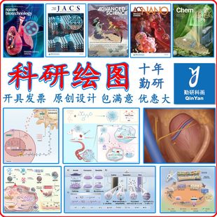 信号通路图科研绘图SCI示意图生物文章图学术期刊封面设计TOC插图