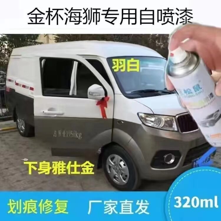 金杯小海狮X30L X30自喷漆划痕修补漆笔白色香槟金银色棕色专用