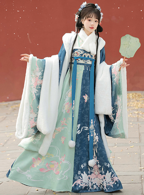 原创汉服【花蝶】唐制齐胸襦裙成人女秋冬加绒加厚外套大袖衫日常