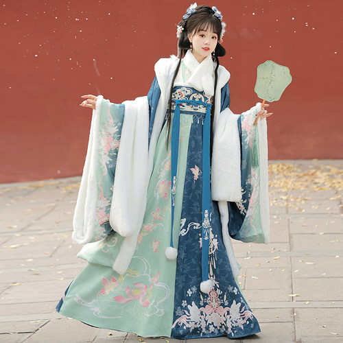 原创汉服【花蝶】唐制齐胸襦裙成人女秋冬加绒加厚外套大袖衫日常