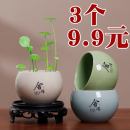 铜钱草水养绿萝桌面水培办公桌歌窑花盆陶瓷大小花盆无孔专用器皿