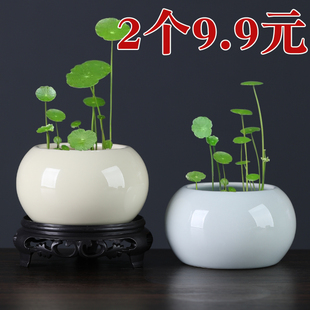 陶瓷哥窑青瓷陶瓷水培小花盆无孔花钵绿植容器小清新桌面花器清仓