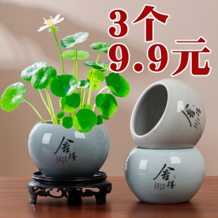 铜钱草水养绿萝桌面水培办公桌歌窑花盆陶瓷大小花盆无孔专用器皿