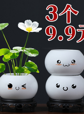 简约白色陶瓷多肉文竹水培铜钱草小花盆无孔绿植容器桌面花器清仓