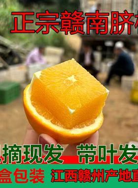正宗江西赣南脐橙赣州安远甜橙子鲜水果20/5/10斤装现摘现发爆汁