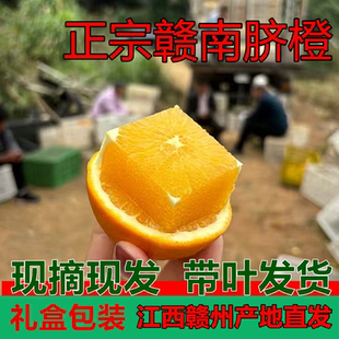 正宗江西赣南脐橙赣州安远甜橙子鲜水果20/5/10斤装现摘现发爆汁