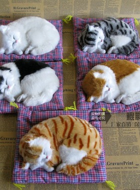 中号布垫猫皮毛工艺品