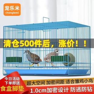 芦丁鸡专用笼子观赏笼育雏家用室内小鸡小鸭鹌鹑养殖笼加密宠物笼