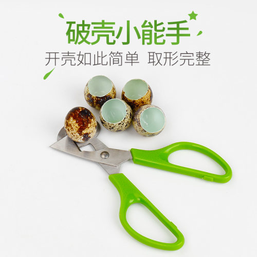多功能鹌鹑蛋不锈钢剪刀