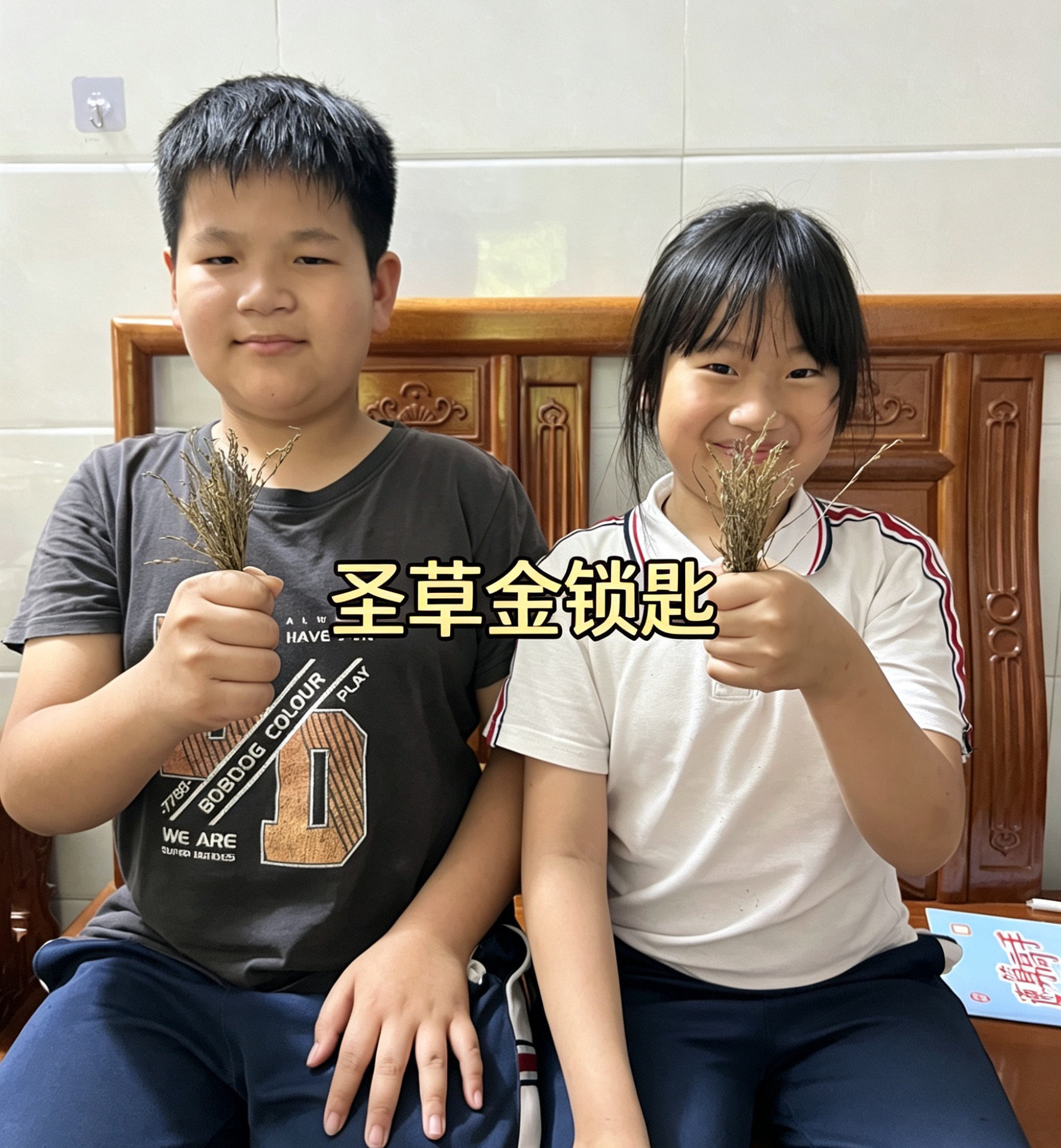 饶平正宗圣草金锁匙野生正宗短脚金锁匙独脚金疳积草黑暗色独角金
