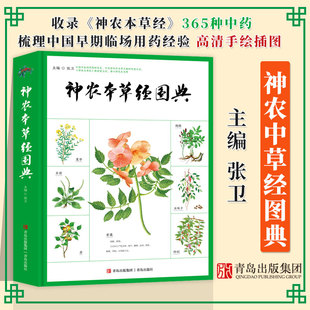 神农本草经图典  收录《神农本草经》全部365种中药 梳理中国早期临场用药经验 高清手绘插图 青岛出版社