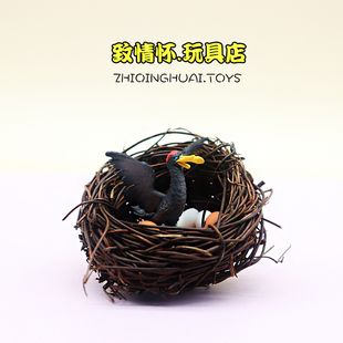 微缩迷你超仿真小鸟动物鸟蛋袖 珍一套微景观diy创意食玩摆件玩具