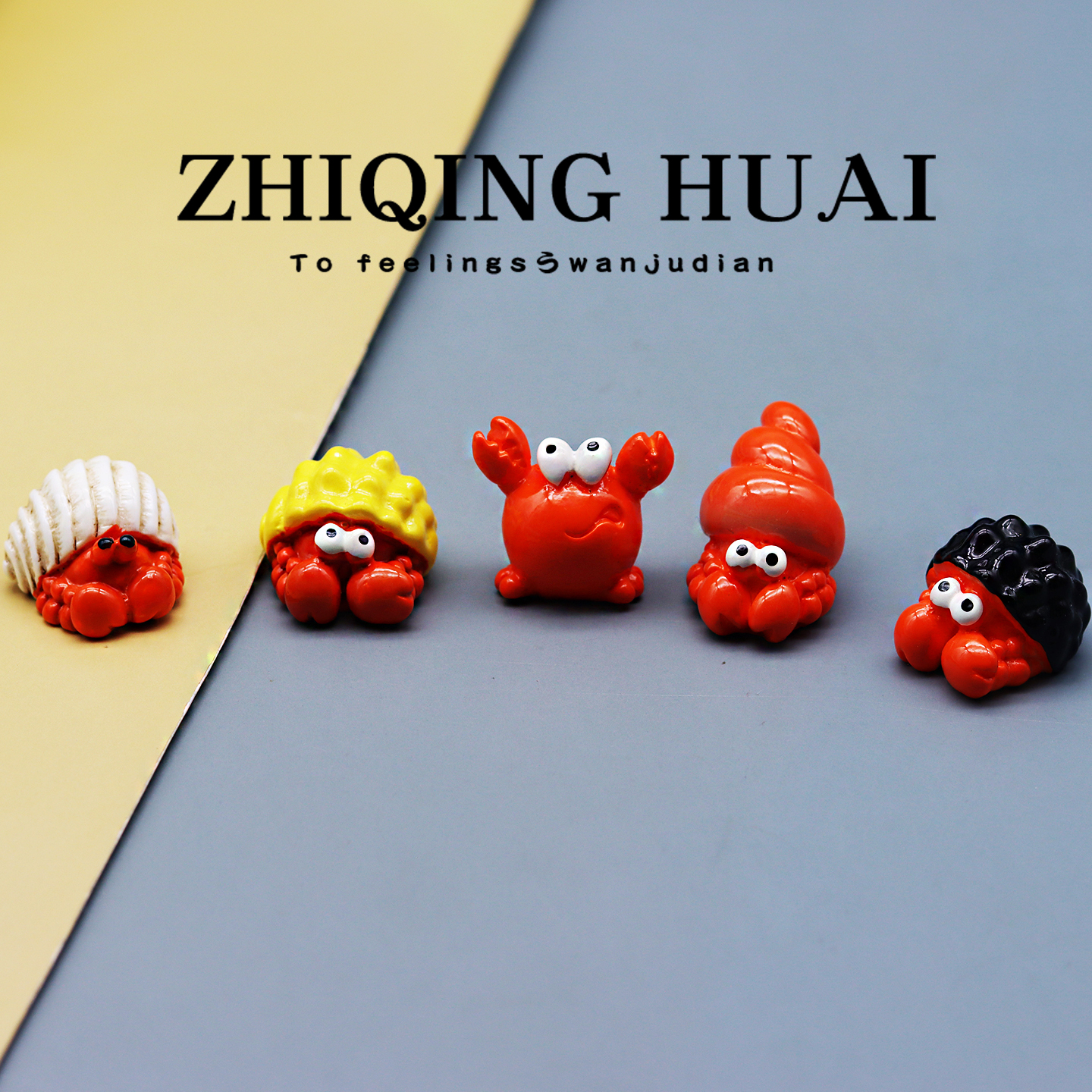 独立盲袋迷你寄居蟹螃蟹海洋生物